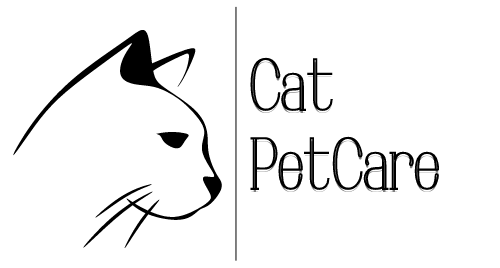Cat PetCare Katzentraining